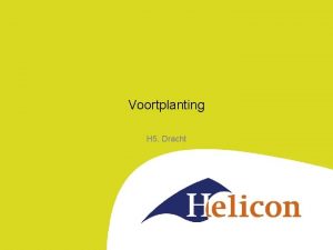 Voortplanting H 5 Dracht Dracht 2 fases Embryonale