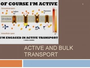 1 ACTIVE AND BULK TRANSPORT Active Transport 2