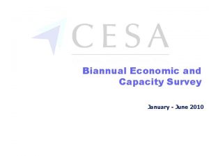 Biannual Economic and Capacity Survey January June 2010