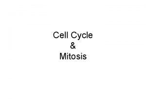 Cell Cycle Mitosis Cell Cycle Cell cycle repeating