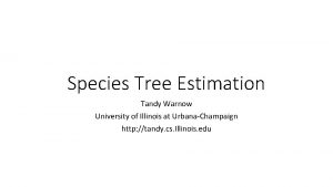 Species Tree Estimation Tandy Warnow University of Illinois