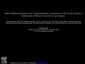 Matrix Metalloproteinase 9 and Transglutaminase 2 Expression at