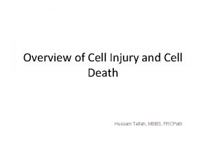 Overview of Cell Injury and Cell Death Hussam