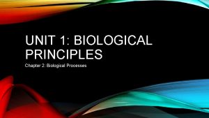 UNIT 1 BIOLOGICAL PRINCIPLES Chapter 2 Biological Processes