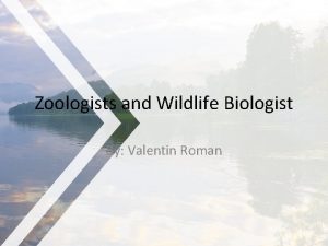 Zoologists and Wildlife Biologist By Valentin Roman Zoology