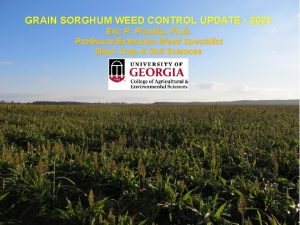 GRAIN SORGHUM WEED CONTROL UPDATE 2021 Eric P