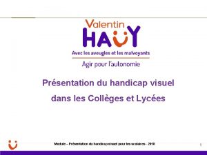 Prsentation du handicap visuel dans les Collges et