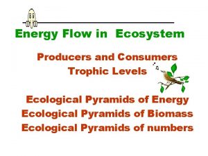 Energy Flow in Ecosystem Producers and Consumers Trophic