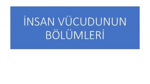 NSAN VCUDUNUN BLMLER NSAN VCUDUNUN BLMLER n Topografik