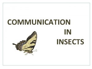 COMMUNICATION IN INSECTS CONTENTS Introduction Types of insect