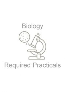 Biology Required Practicals Paper One Required Practicals Microscopy