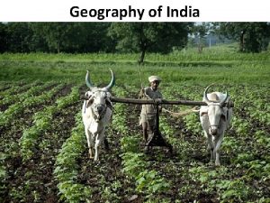 Geography of India India is considered a subcontinent