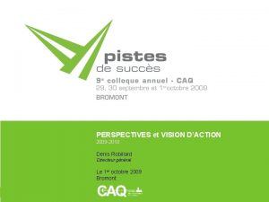 PERSPECTIVES et VISION DACTION 2009 2010 Denis Robillard