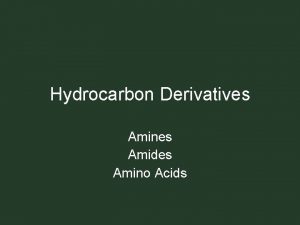 Hydrocarbon Derivatives Amines Amides Amino Acids Amines contain