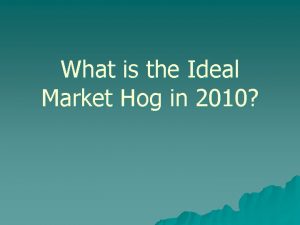 What is the Ideal Market Hog in 2010