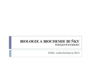 BIOLOGIE A BIOCHEMIE BUKY NUKLEOV KYSELINY RNDr Lenka