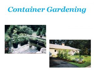 Container Gardening Growing Vegetable in Containers For small