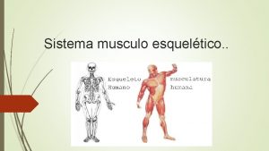 Sistema musculo esqueltico Gammagrafa sea una gammagrafa sea