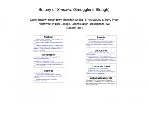 Botany of Smexws Smugglers Slough Cathy Ballew Robindawn