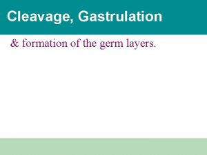 Cleavage Gastrulation formation of the germ layers Cleavage