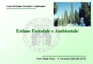 Corso di Estimo Forestale e Ambientale Prof Adele