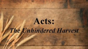 Acts The Unhindered Harvest Acts 4 13 18