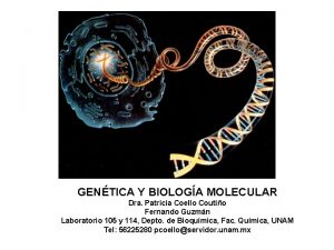 GENTICA Y BIOLOGA MOLECULAR Dra Patricia Coello Coutio