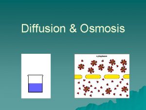 Diffusion Osmosis Diffusion The movement of molecules from