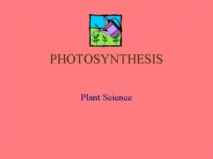 PHOTOSYNTHESIS Plant Science Photosynthesis Photo Light Synthesis Putting