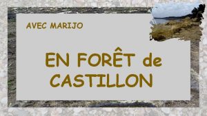 AVEC MARIJO EN FORT de CASTILLON galement appel