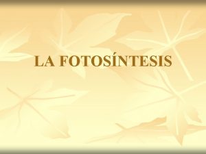 LA FOTOSNTESIS Trifosfato de Adenosina ATP n n