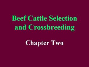 Beef Cattle Selection and Crossbreeding Chapter Two Two