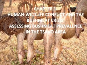 CHAPTER 1 HUMANWILDLIFE CONFLICT AND THE BUSHMEAT CRISIS