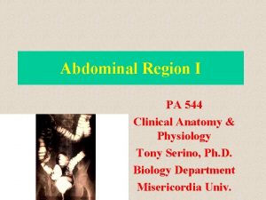 Abdominal Region I PA 544 Clinical Anatomy Physiology