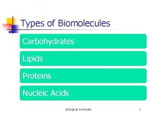 Types of Biomolecules Carbohydrates Lipids Proteins Nucleic Acids