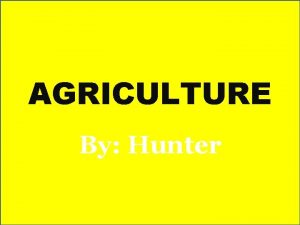 AGRICULTURE By Hunter What is Agriculture Agriculture is