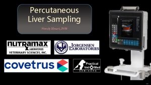 Percutaneous Liver Sampling Wendy Blount DVM Free Power