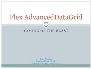 Flex Advanced Data Grid TAMING OF THE BEAST