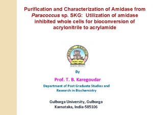 Purification and Characterization of Amidase from Paracoccus sp