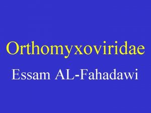 Orthomyxoviridae Essam ALFahadawi Orthomyxoviridae Orthomyxoviruses Group of highly