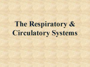 The Respiratory Circulatory Systems The respiratory system moves