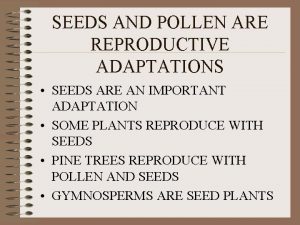 SEEDS AND POLLEN ARE REPRODUCTIVE ADAPTATIONS SEEDS ARE