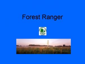 Forest Ranger North Lawndale What does a Forest