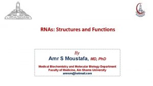 RNAs Structures and Functions By Amr S Moustafa