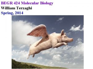 BEGR 424 Molecular Biology William Terzaghi Spring 2014