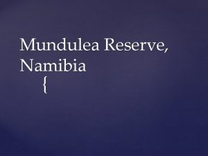 Mundulea Reserve Namibia This active 16 day itinerary