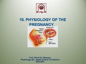 10 PHYSIOLOGY OF THE PREGNANCY Prof Sherif W