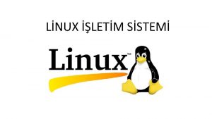 LNUX LETM SSTEM Tarihe Linux ismi ilk olarak