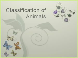 Classification of Animals 7 Aristotle Greek philosopher to