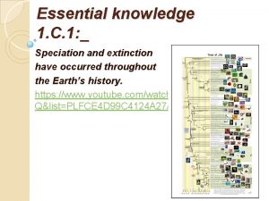 Essential knowledge 1 C 1 Speciation and extinction